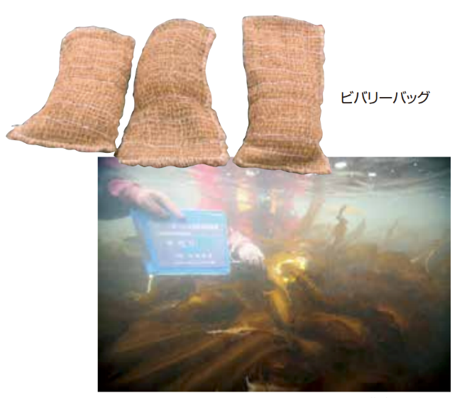 13.png